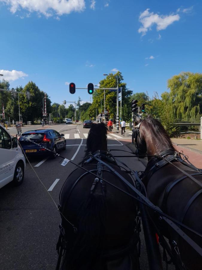 De Huifkar, Trekkershut Bij Sneek Hotel Hommerts Eksteriør billede