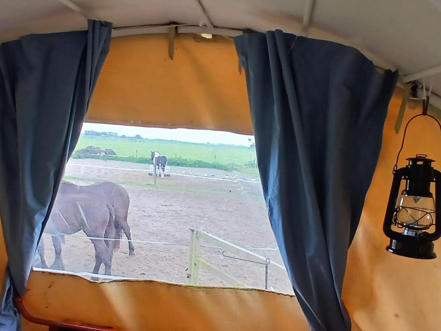 De Huifkar, Trekkershut Bij Sneek Hotel Hommerts Eksteriør billede